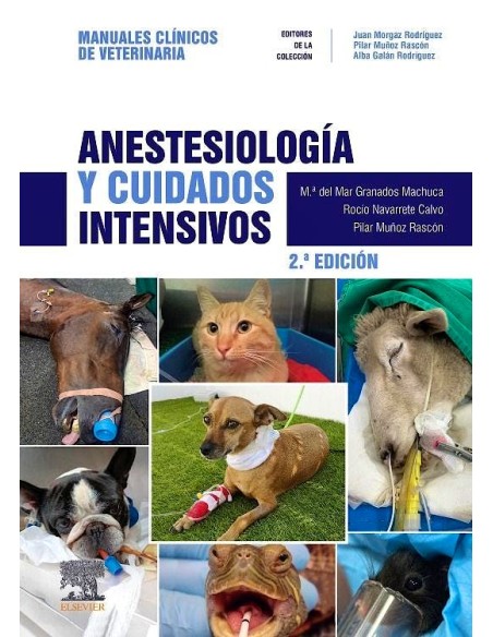 ANESTESIOLOGIA Y CUIDADOS INTENSIVOS 2ª ED